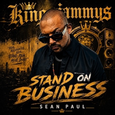 Stand On Business  - Sean Paul