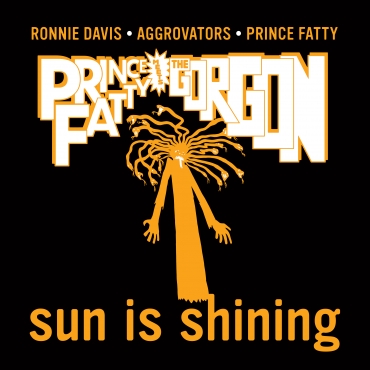 Sun is Shining  - Ronnie Davis 