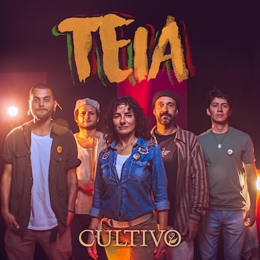 Teia - Cultivo